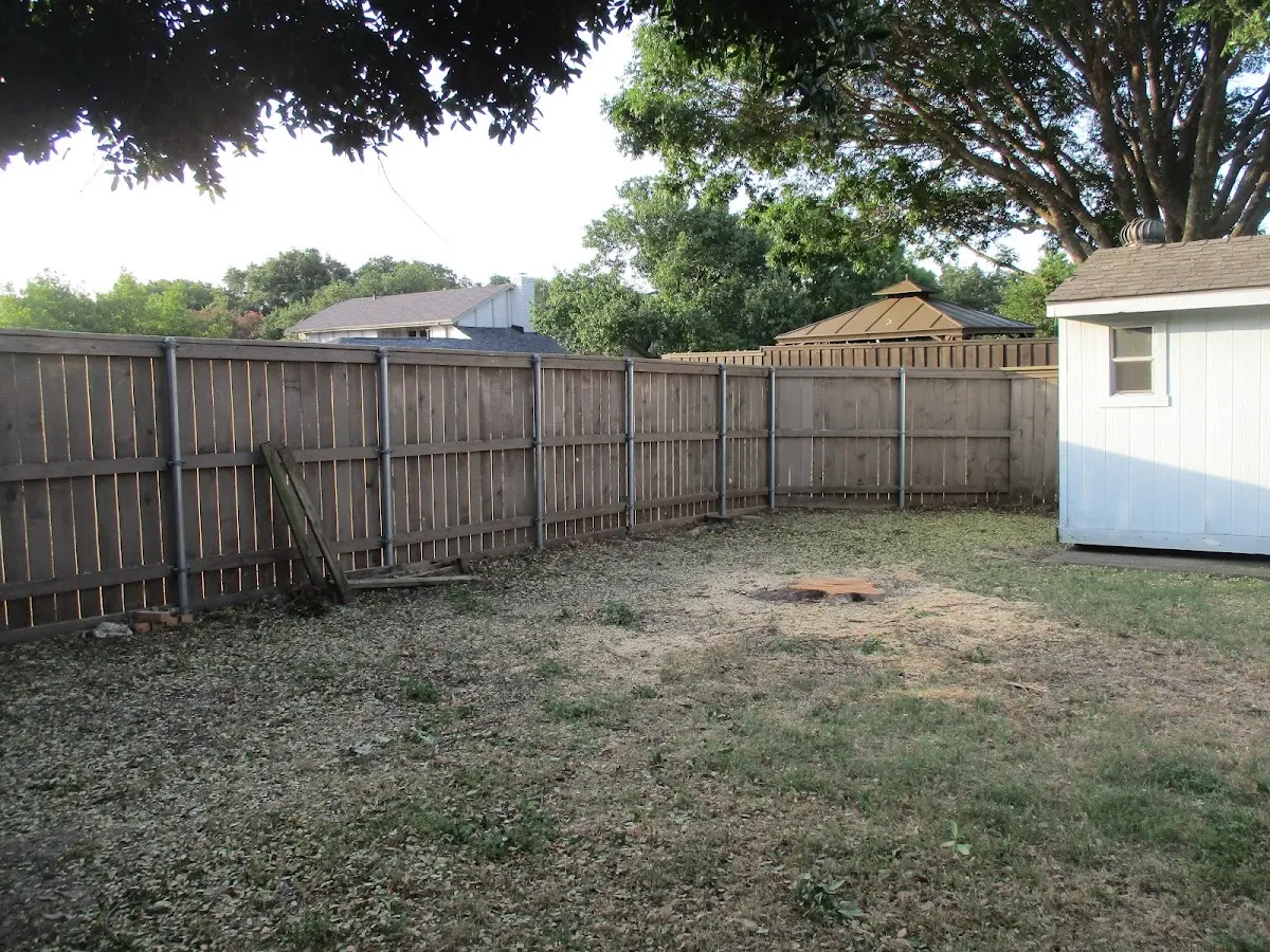 Cleared yard after professional tree removal in Stony Creek
